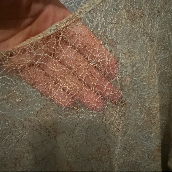 Vintage Bryan Emerson • sheer floral lace top with shades of tan and blue - Picture 5 of 6